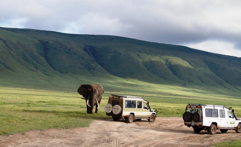 Ngorongoro-Crater-Safari