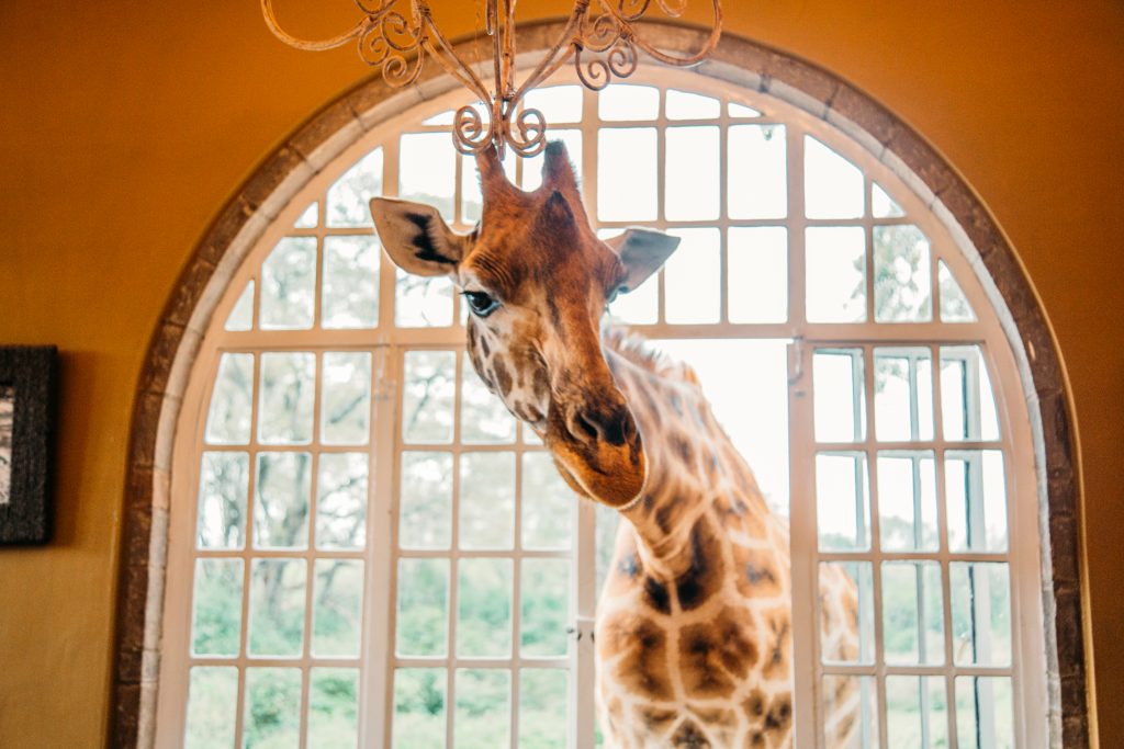 giraffe-manor-nairobi