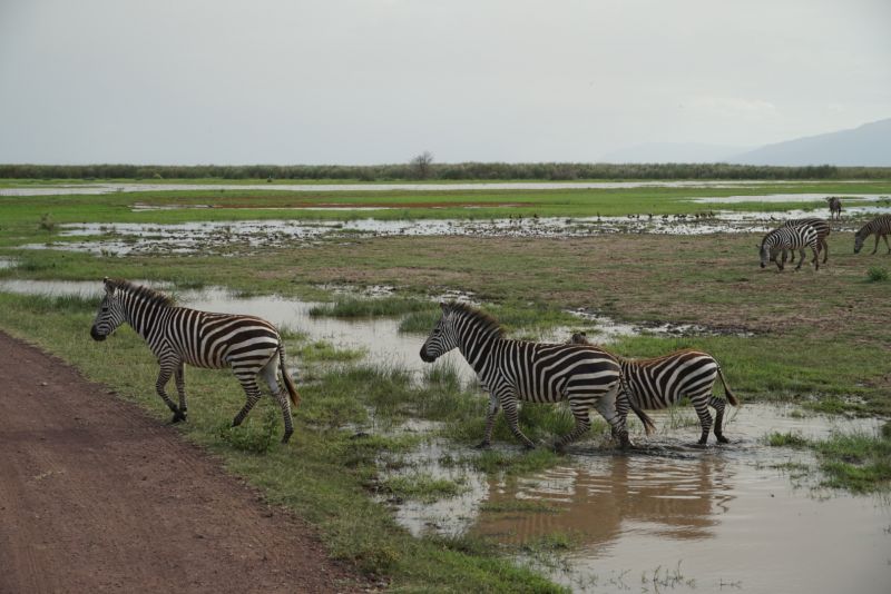 kenya-tanzania3