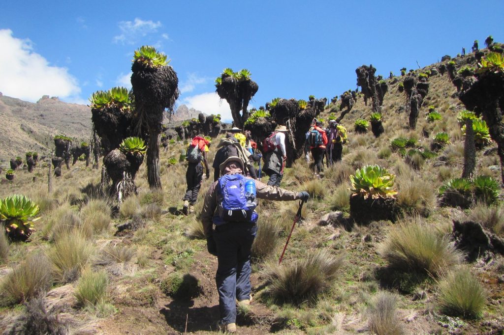 mount-kenya-sirimon