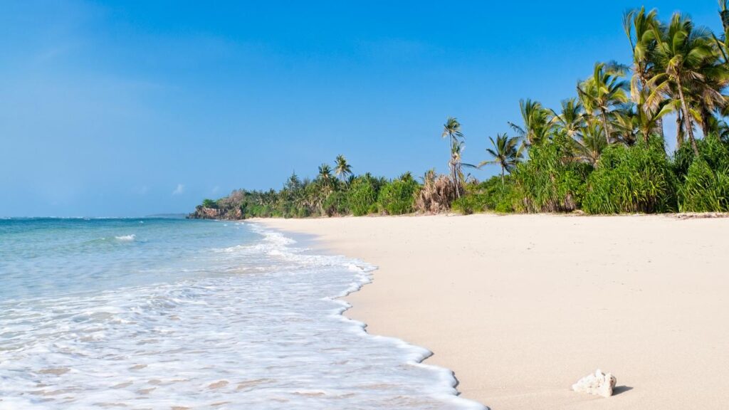 Diani Beaches